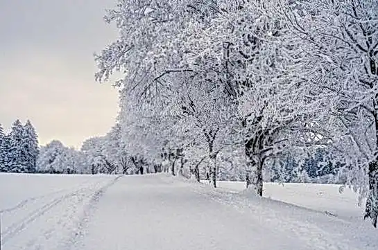 Booi промокод ae8b40